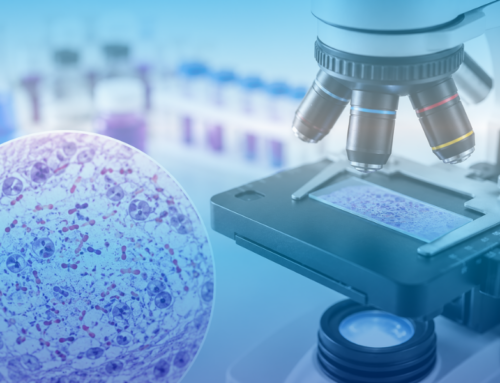 Brown-Brenn-Färbung in der Histologie: Nachweis grampositiver und gramnegativer Bakterien im Gewebe